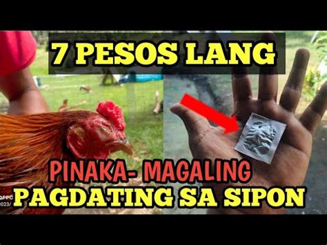 linyada ng mamay|Gamot sa manok na pumipilipit ang leeg .
